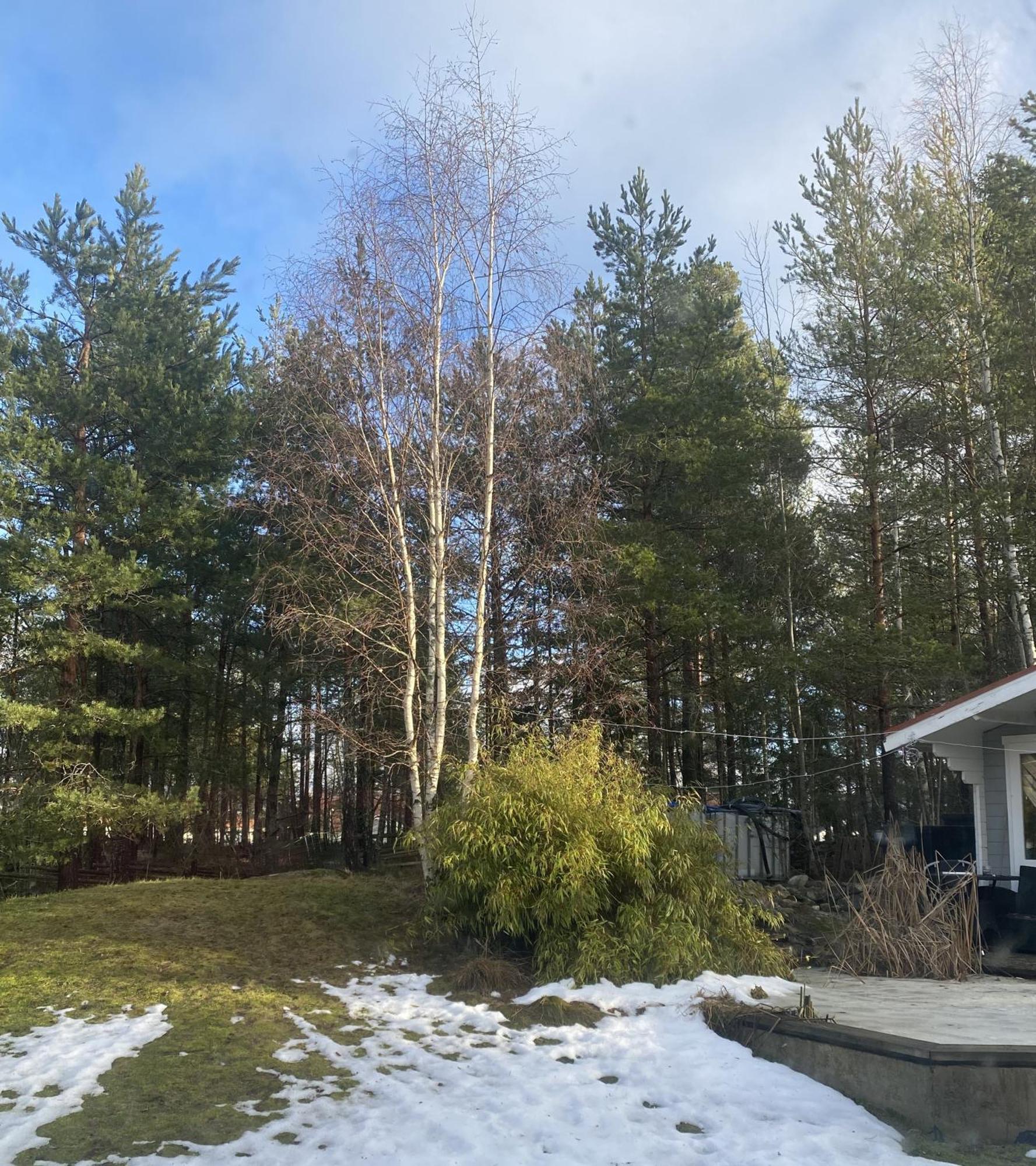 Villa In Svalsaeter, Kallfors, Jaerna, South Of Stockholm, Near Golf, Ytterjaerna Cultural House & The Baltic Sea Beach Järna Exterior foto